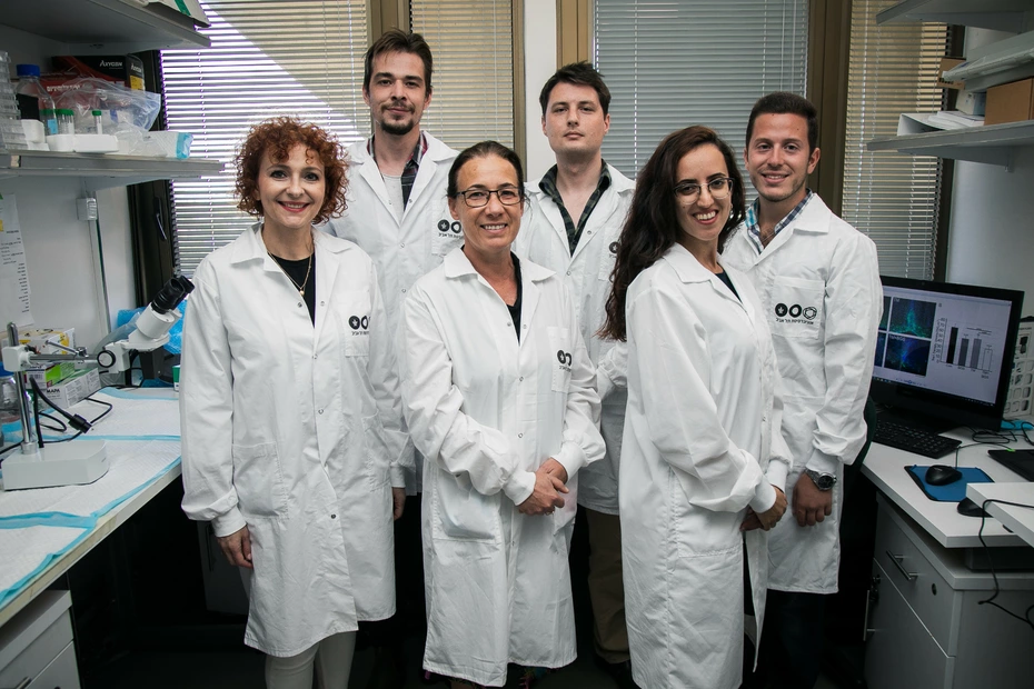 Skupina znanstvenikov v Šoli nevroznanosti Sagol, Univerza v Tel Avivu, Izrael
