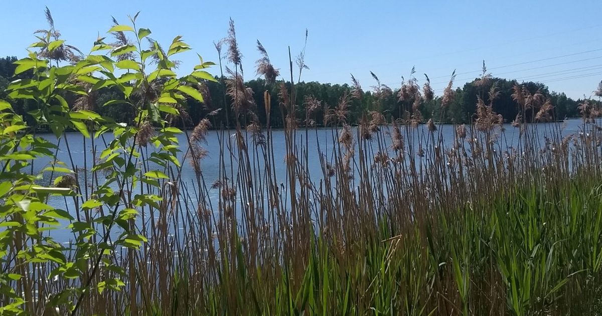 Kalety Silesia Wings for Life World Run