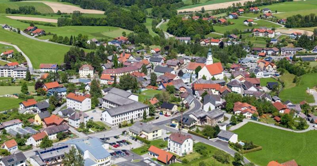 Münzkirchen - Wings for Life World Run